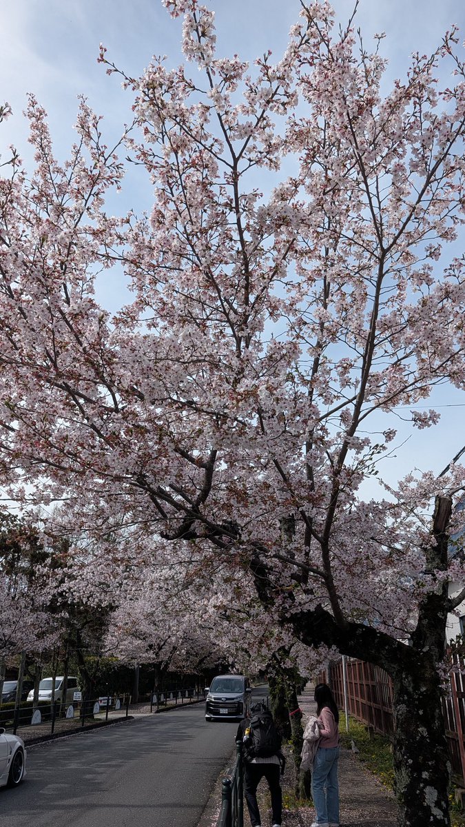 ぶるっく tweet media