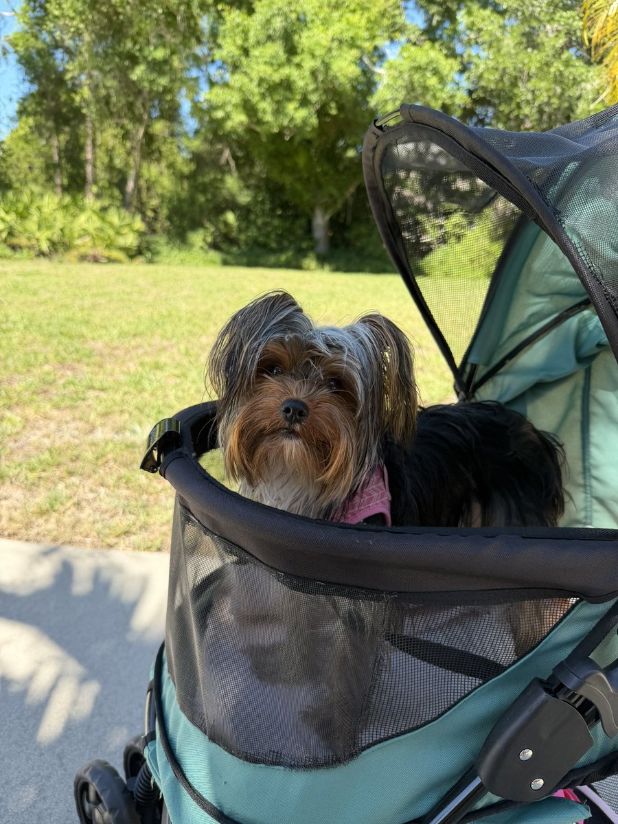 GM ☀️

Happy Easter Fam.