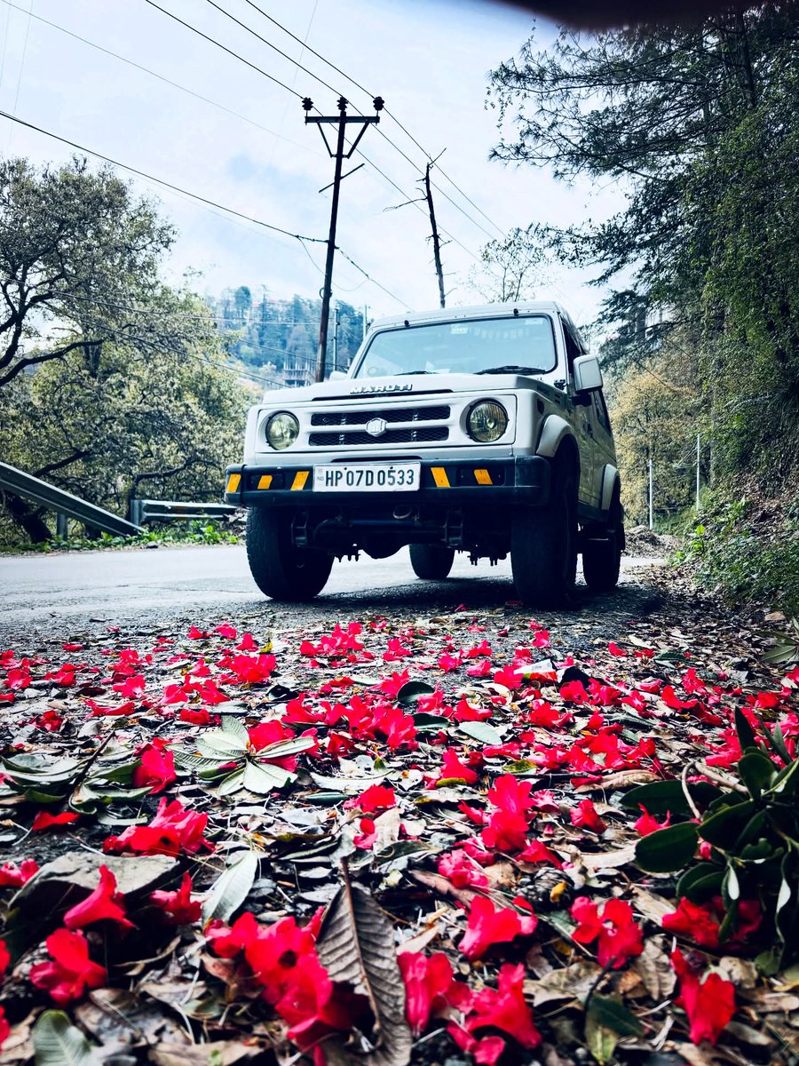 Ajay Banyal tweet media