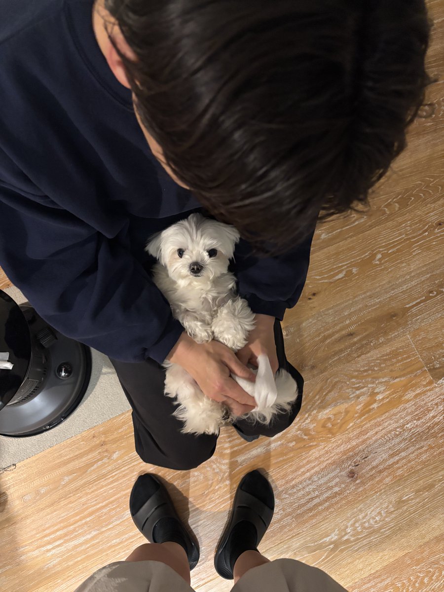 もじゅ tweet media