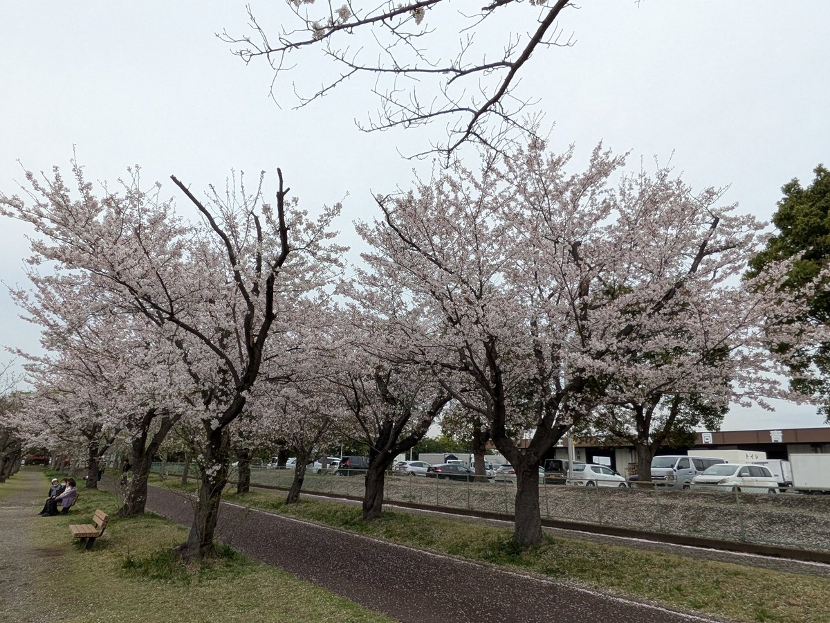 しんちゃん@必ずもどってこいよ!北陸新幹線 tweet media