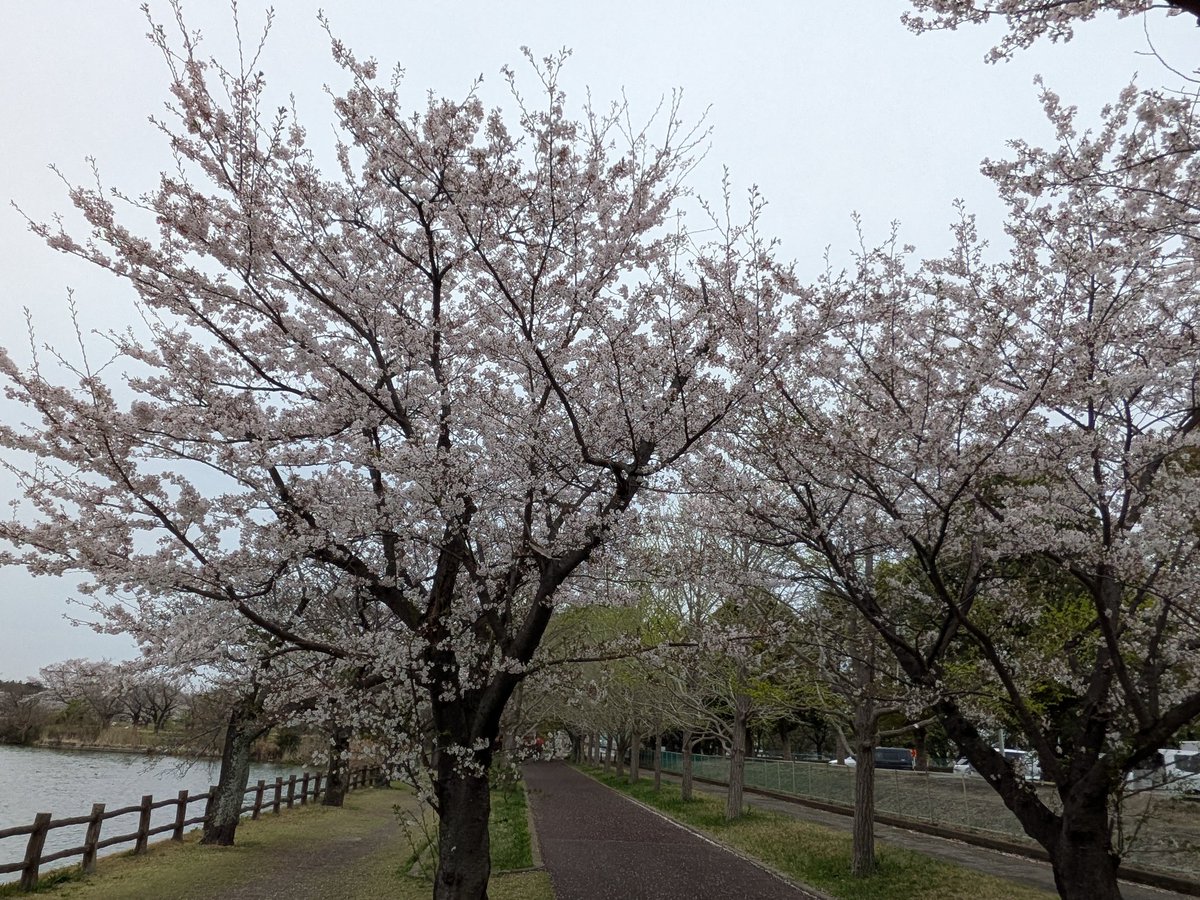 しんちゃん@必ずもどってこいよ!北陸新幹線 tweet media