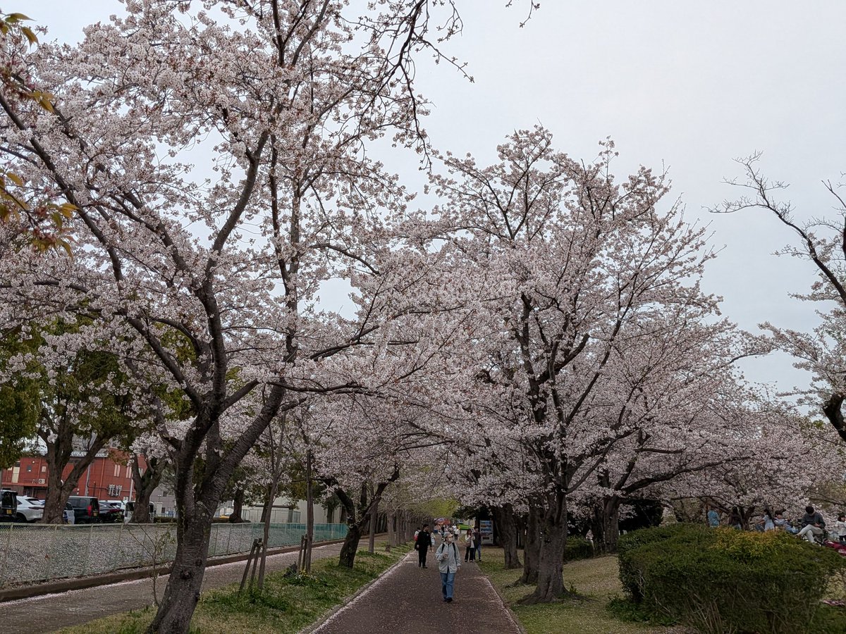 しんちゃん@必ずもどってこいよ!北陸新幹線 tweet media