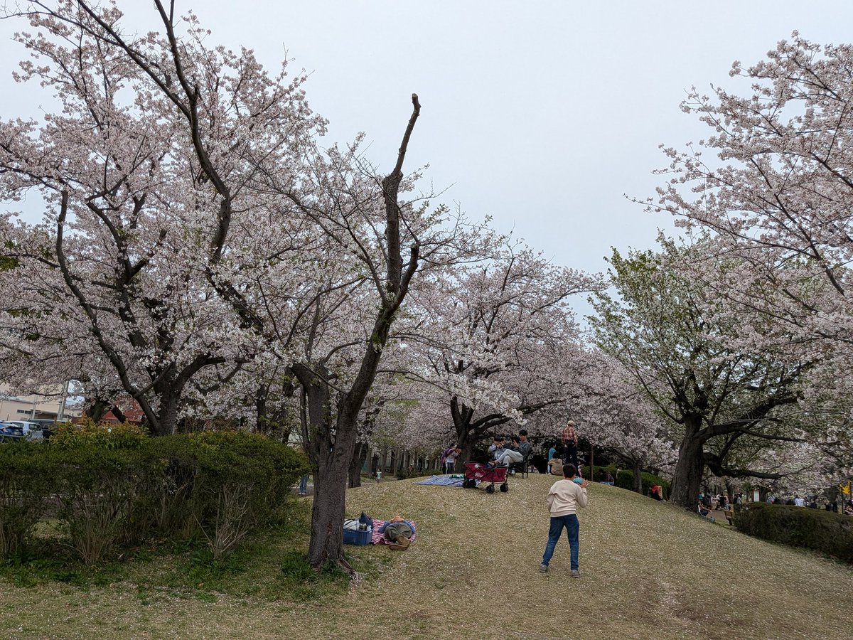 しんちゃん@必ずもどってこいよ!北陸新幹線 tweet media