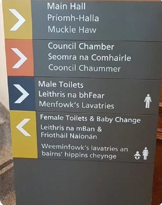 🇮🇪 tweet media