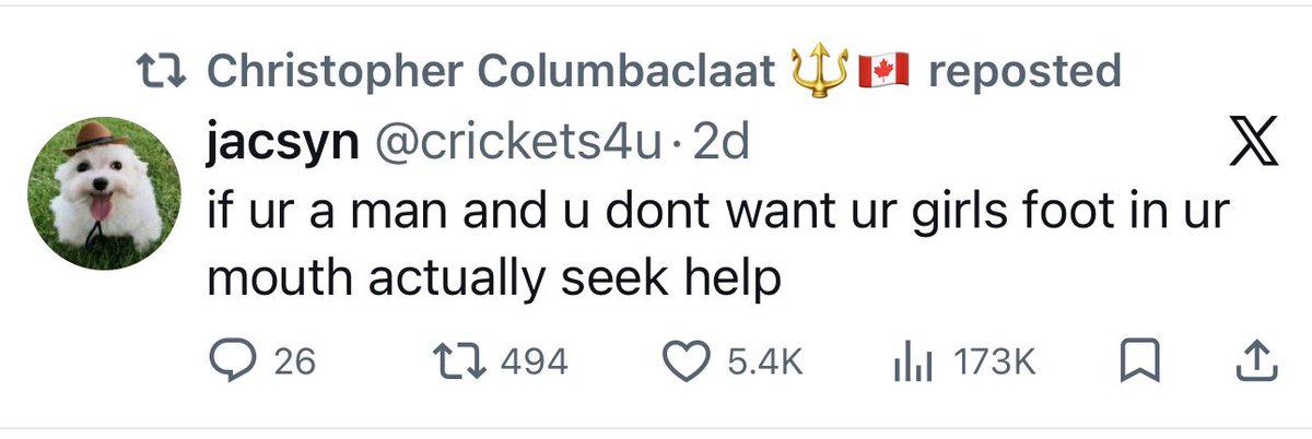 Bee 🐝 🇩🇴 tweet media