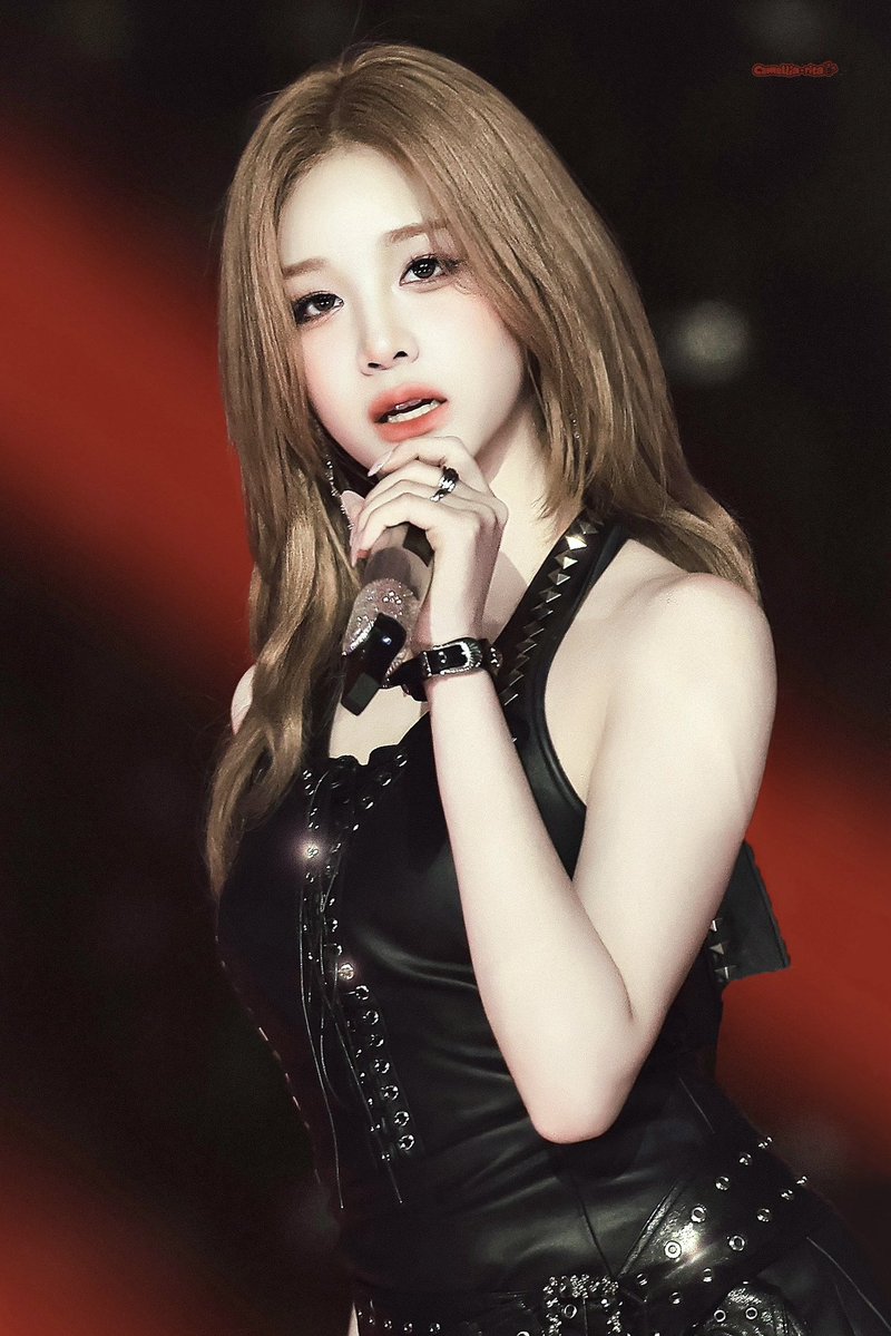 pharita pics tweet media