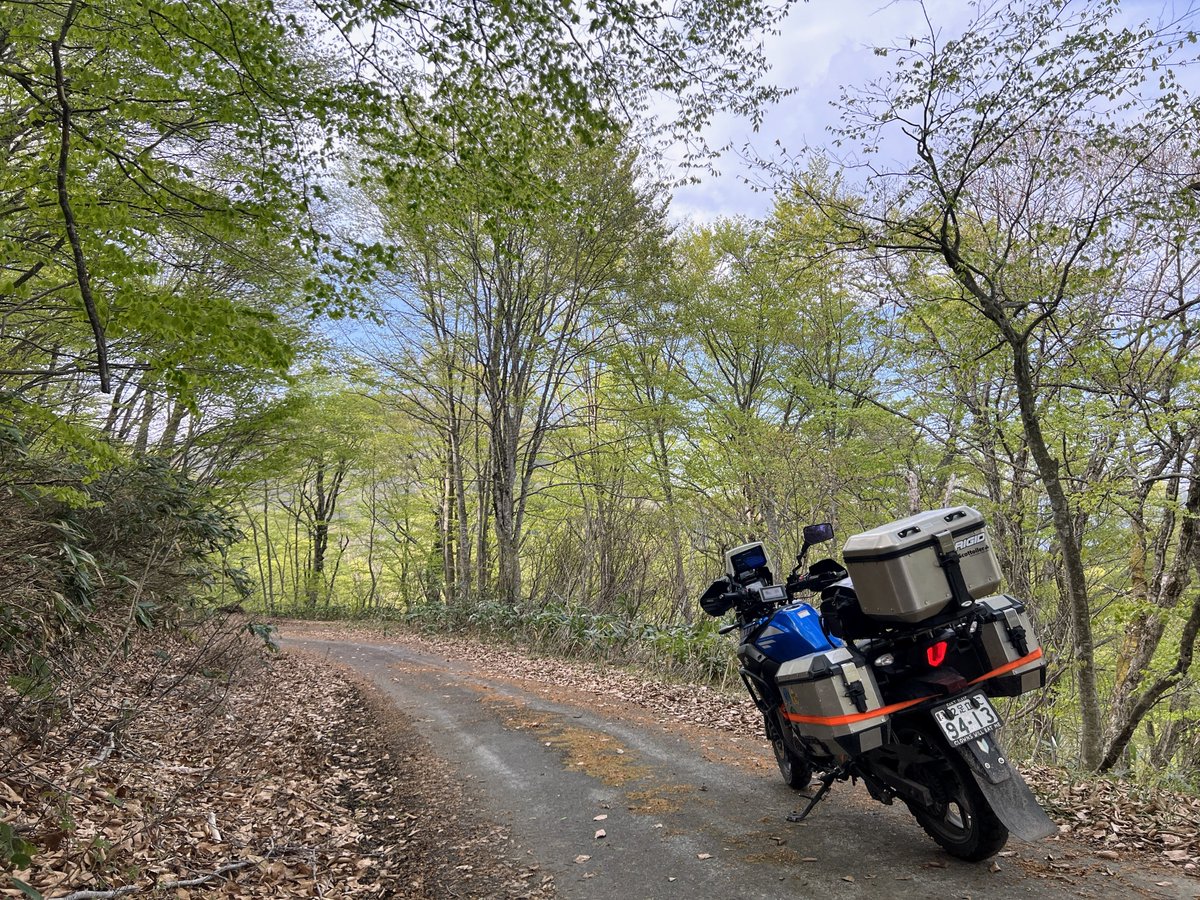 けみこ tweet media