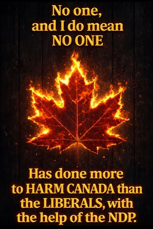 Randy Take no Prisoners tweet media