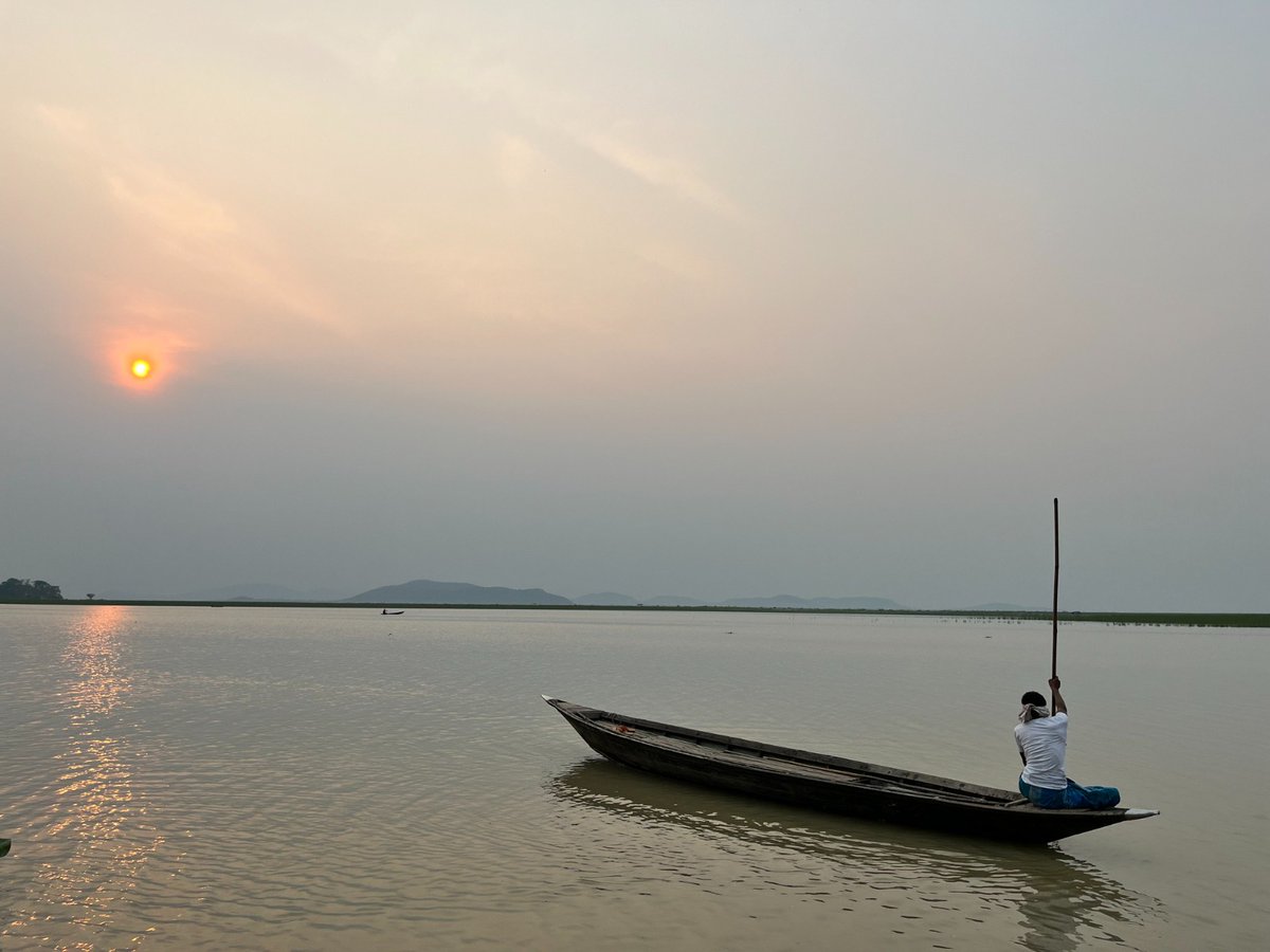 Awesome Assam tweet media