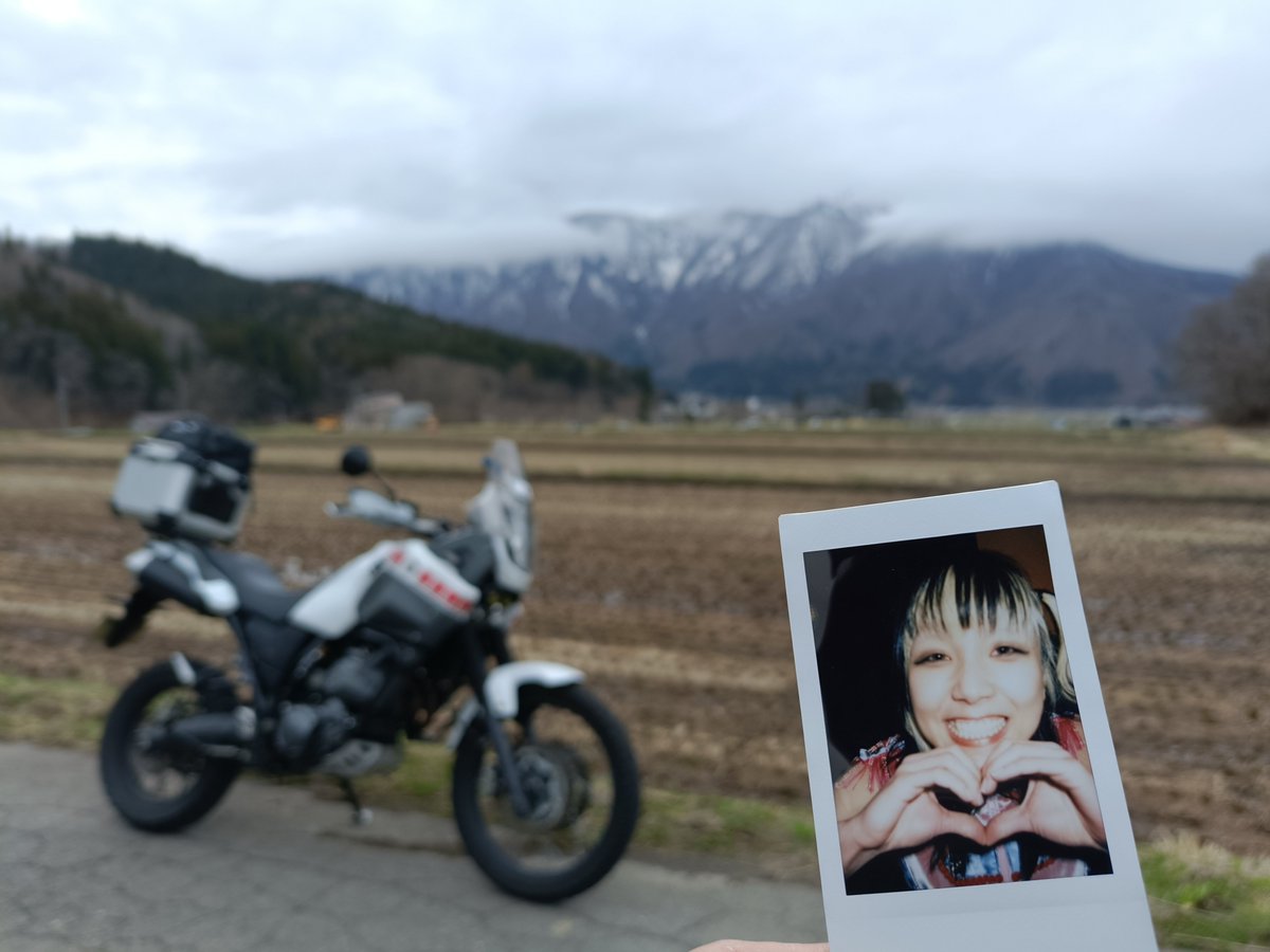 ピンポンパンダ®🐼 tweet media