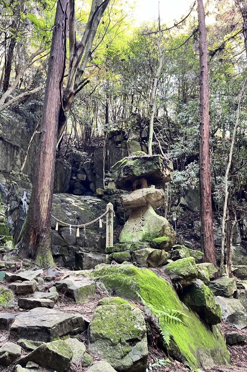 忯子(きしこ)りんはつるばみ色 tweet media