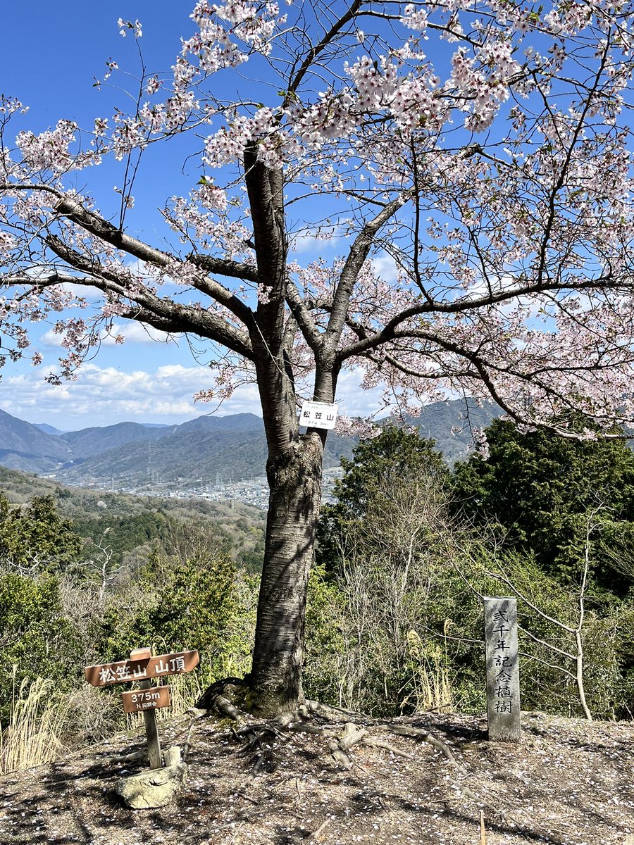 忯子(きしこ)りんはつるばみ色 tweet media