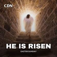 MICHAEL DOLLAR tweet media