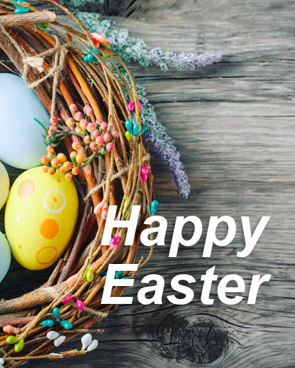 Mayo Clinic Urology tweet media