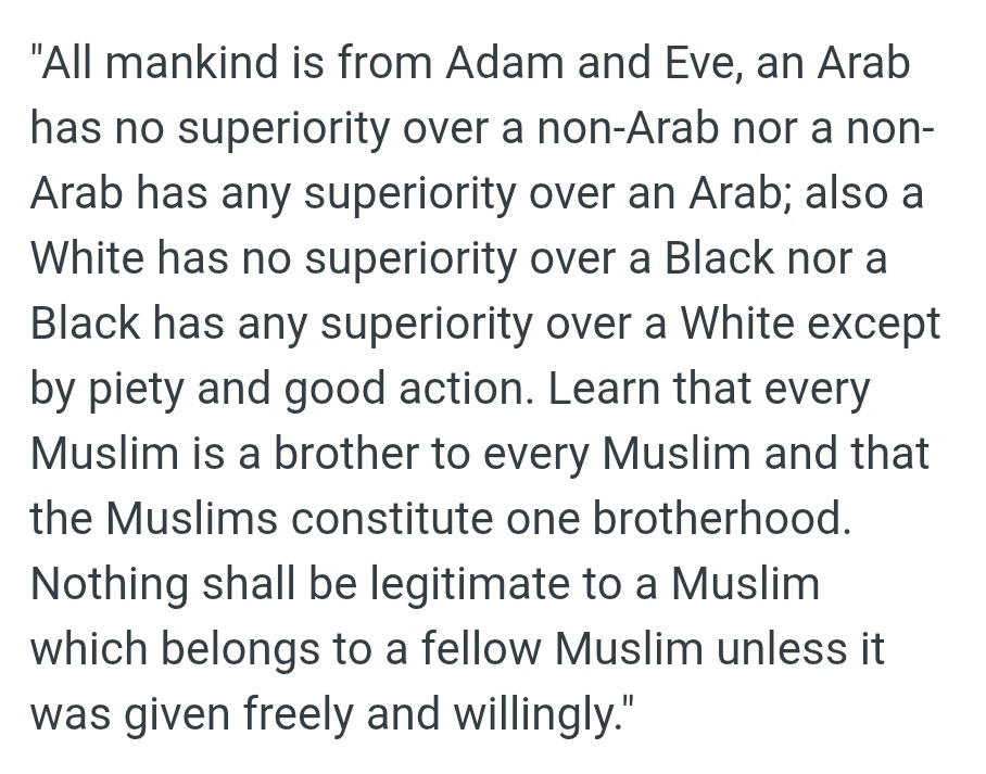 Toxic Shaikh 🇵🇸 tweet media