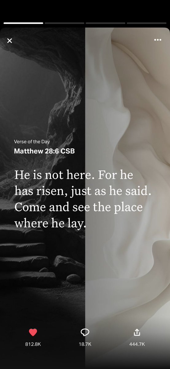 Best Hype Man✝️🌲 tweet media