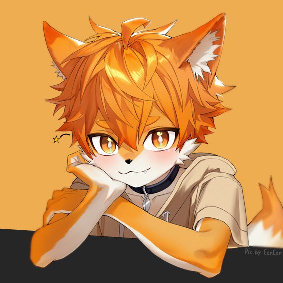 너운 📷 tweet media