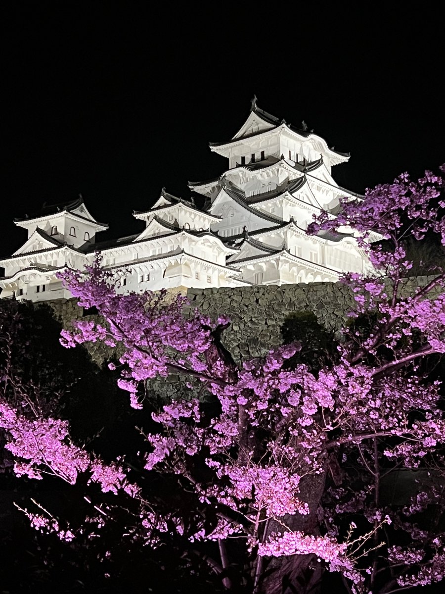 姫路の生活を応援！ヒメカツ！🏯🌏ネオ日置創造総大将兼SVPJ運営兼生涯学習系ご当地VTuber tweet media