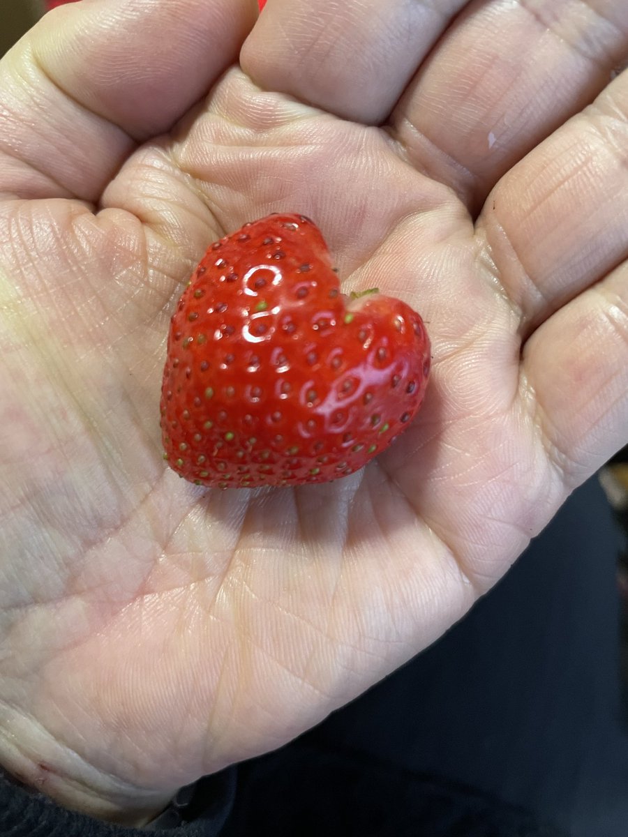 DaISUKE  DARK  SIDE tweet media