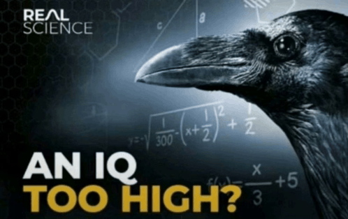 FirstFlameLover tweet media