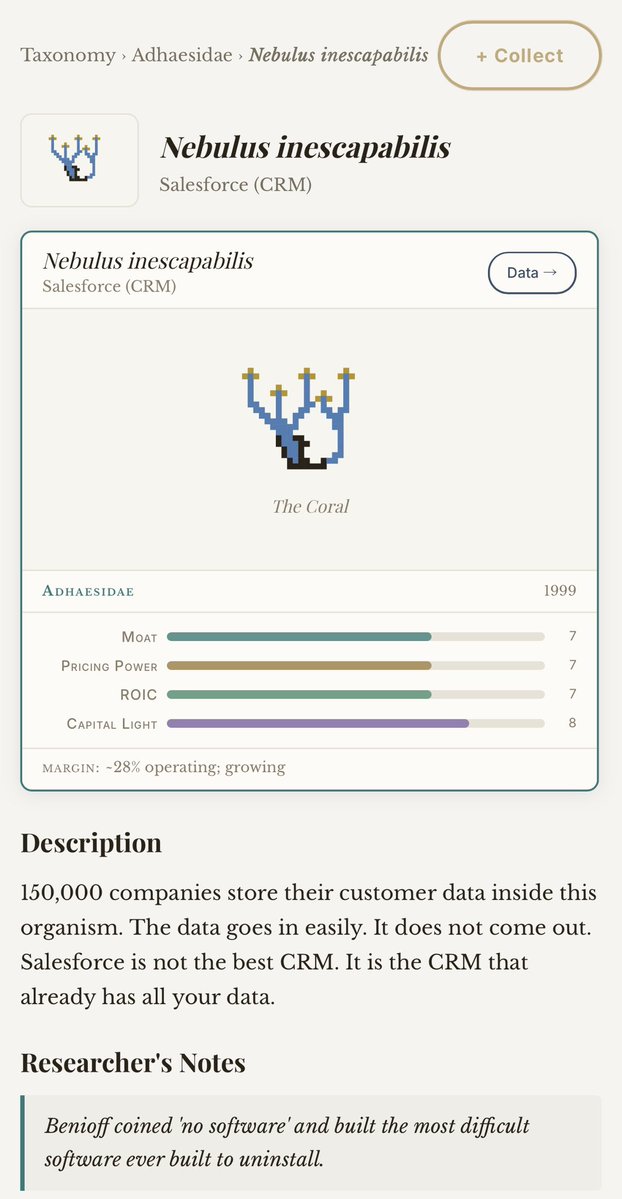 The Compoundia tweet media