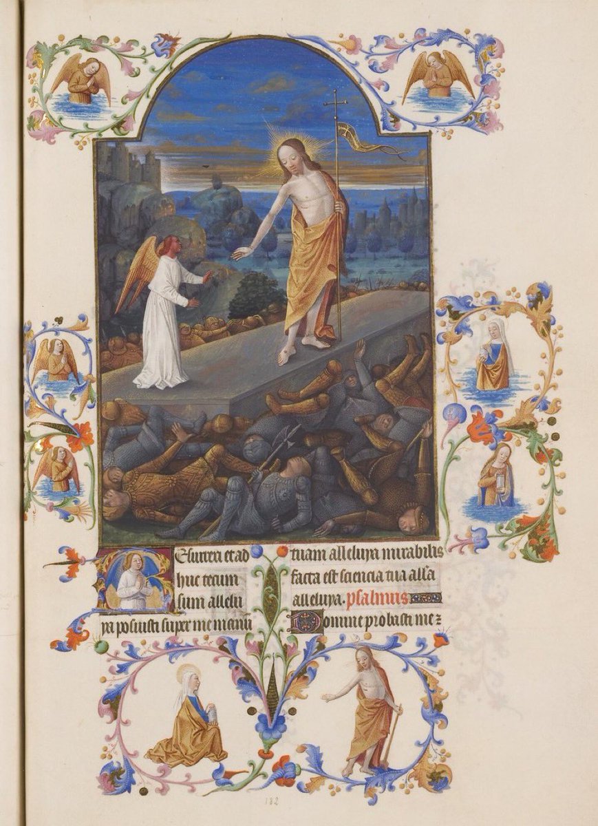 Panurgo13 tweet media