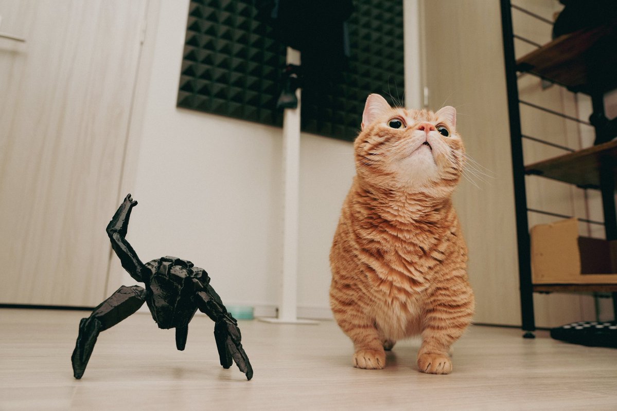 花江 夏樹 tweet media