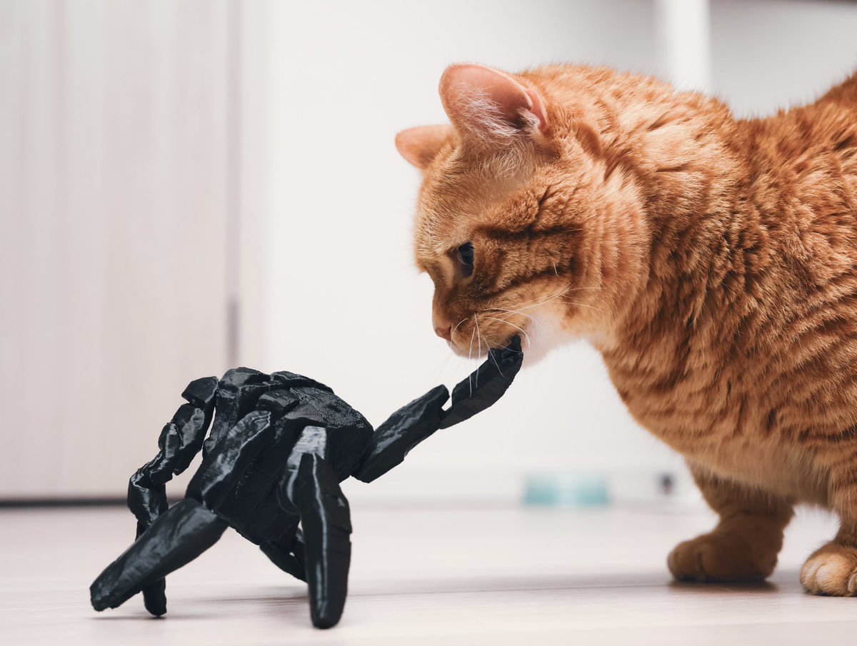 コムソウ tweet media