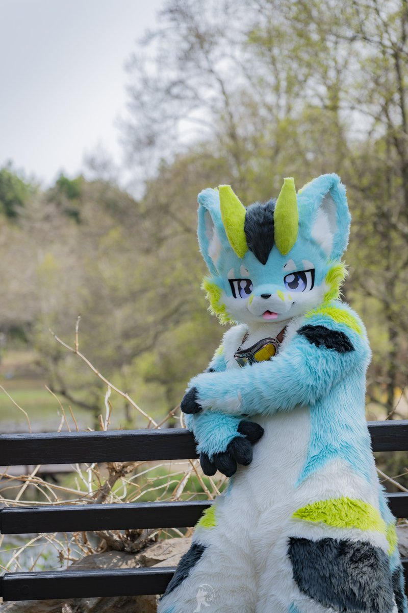 やーさん📸🐶🐉ジーラン tweet media