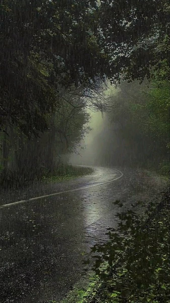 Earth 🍃 tweet media