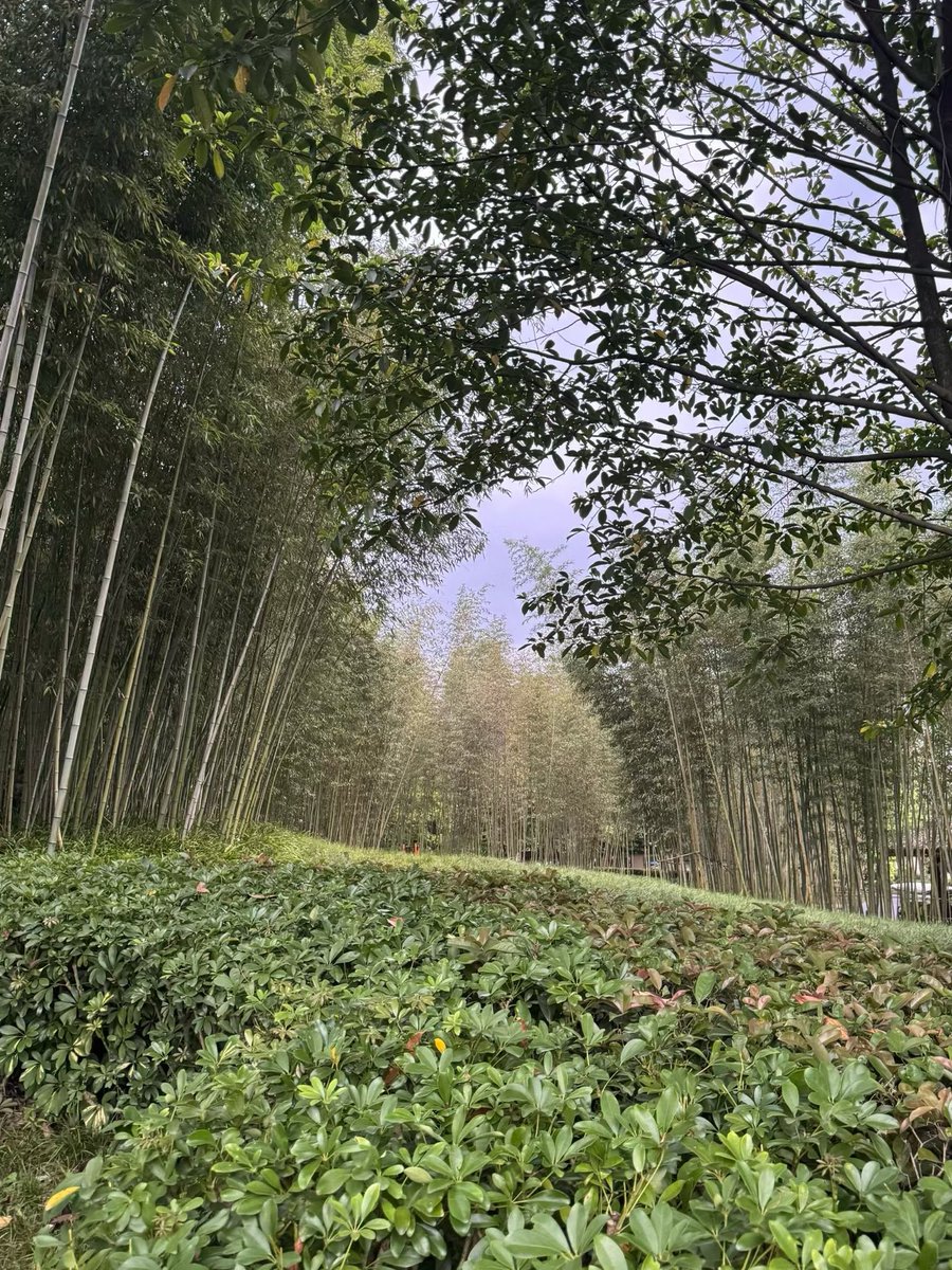 @奔波而霸 tweet media