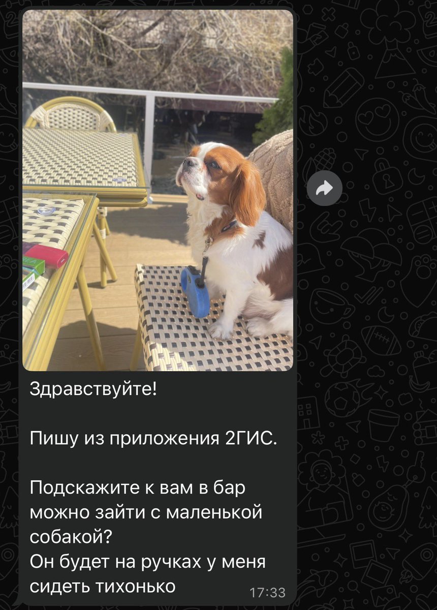 нам снова пишут, что придут важные гости в бар