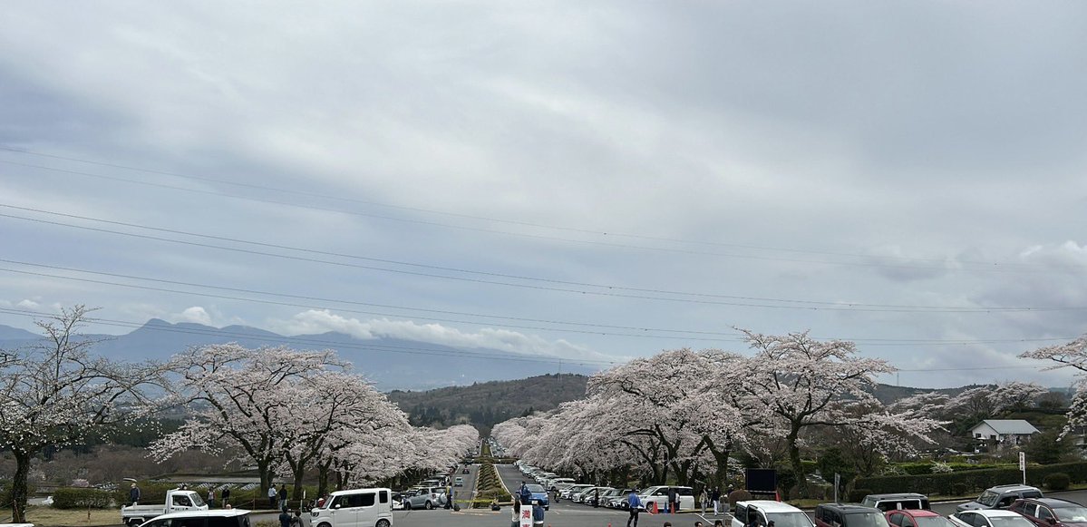 いっきん 🐷🍞 tweet media