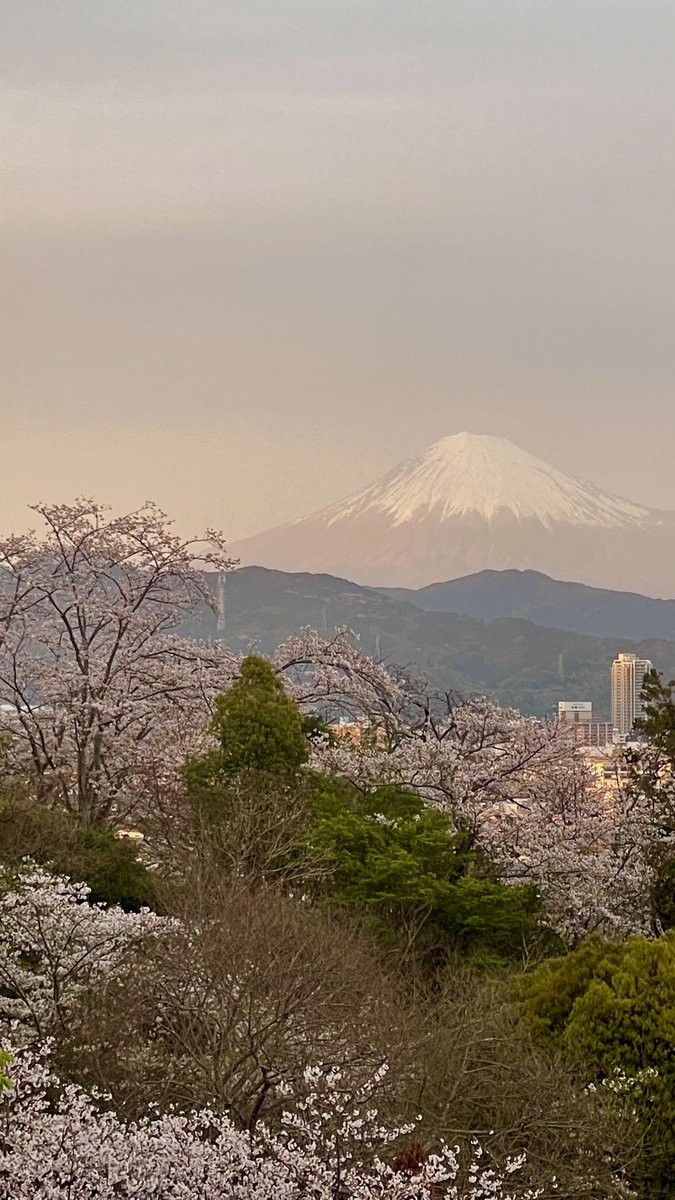 えんにく／あじたまの人♀ tweet media