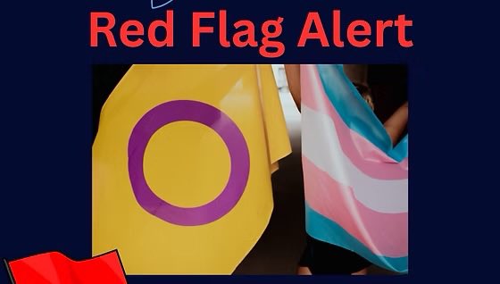 Daniel Lismore tweet media