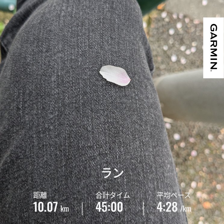 花伝 🌺📺️ ロードランナー tweet media