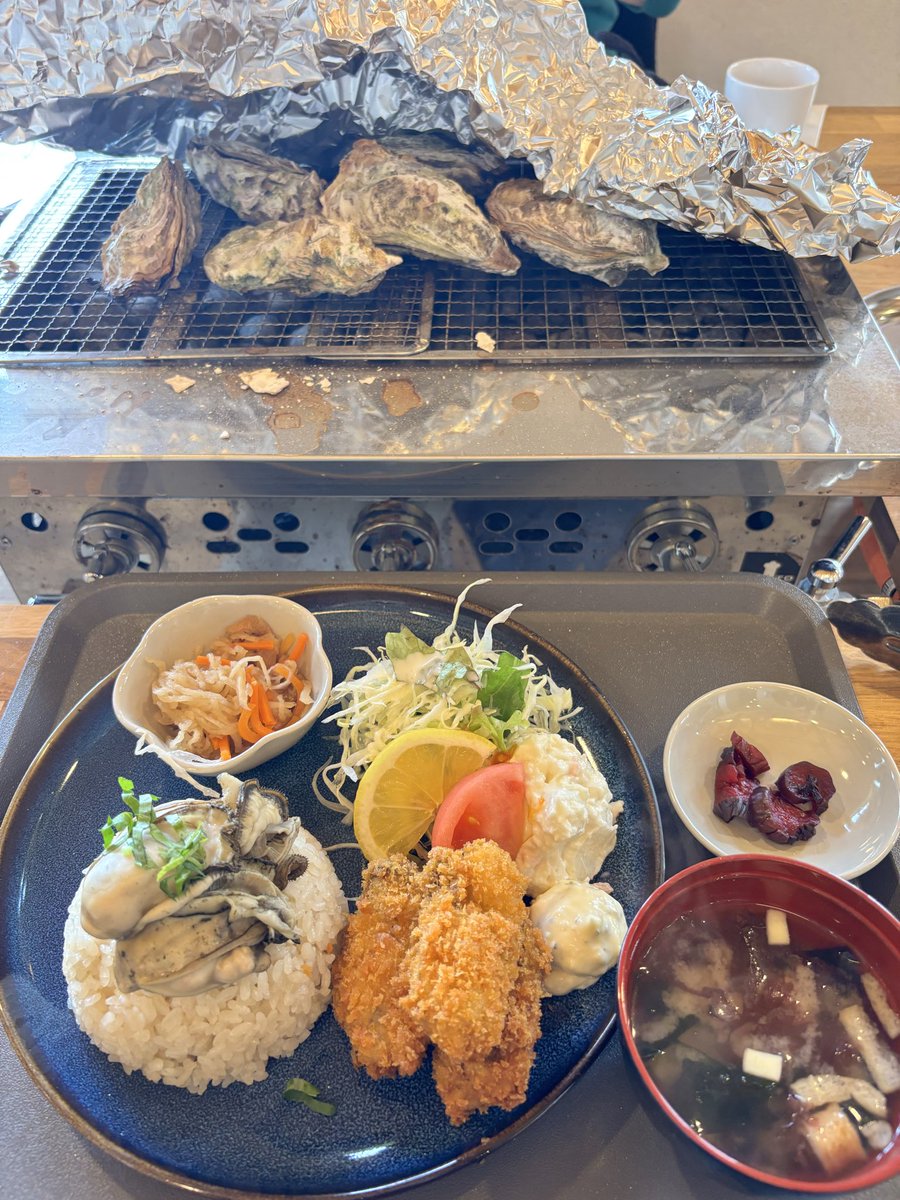 ゆめ🦫🐨👁️‍🗨️ tweet media