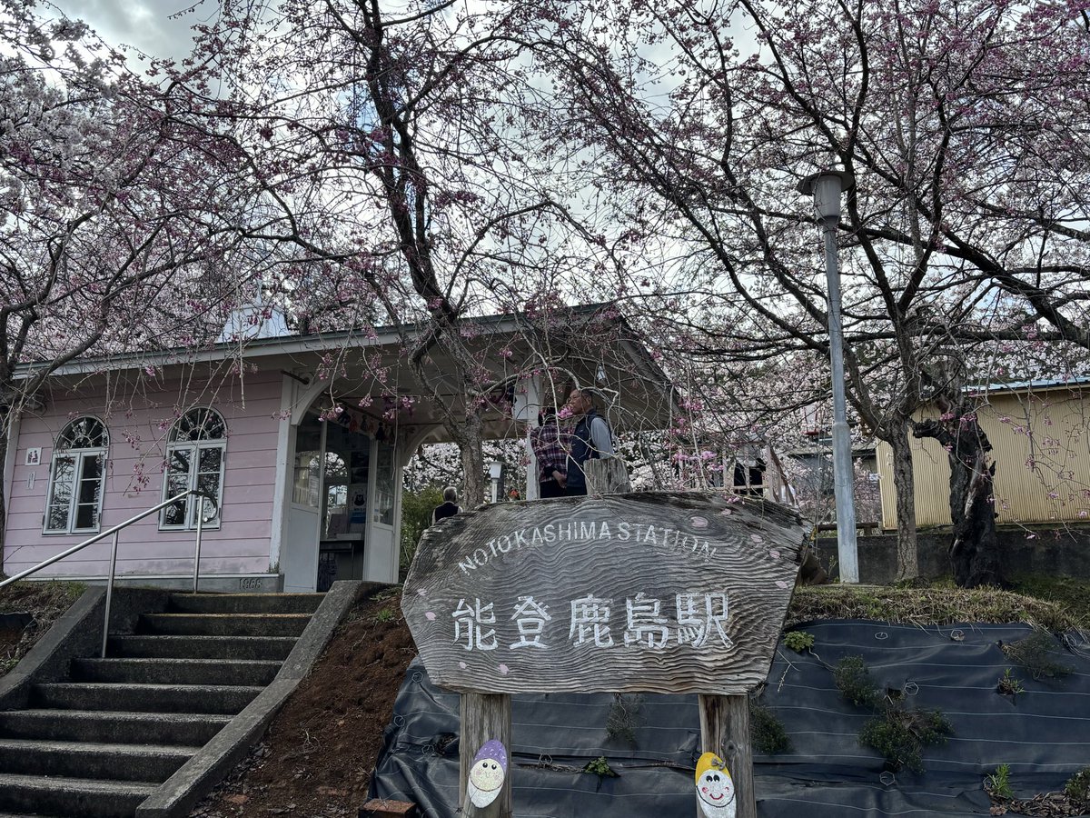 ゆめ🦫🐨👁️‍🗨️ tweet media