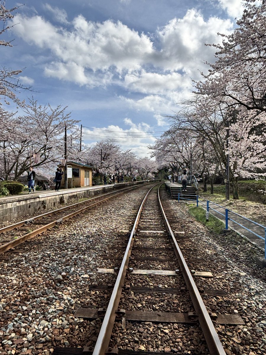 ゆめ🦫🐨👁️‍🗨️ tweet media