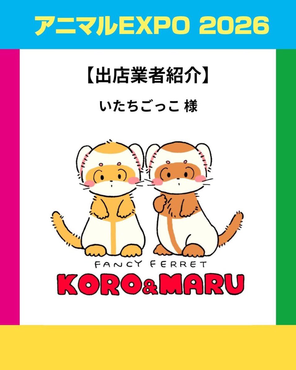 ころ&まる🌷 tweet media