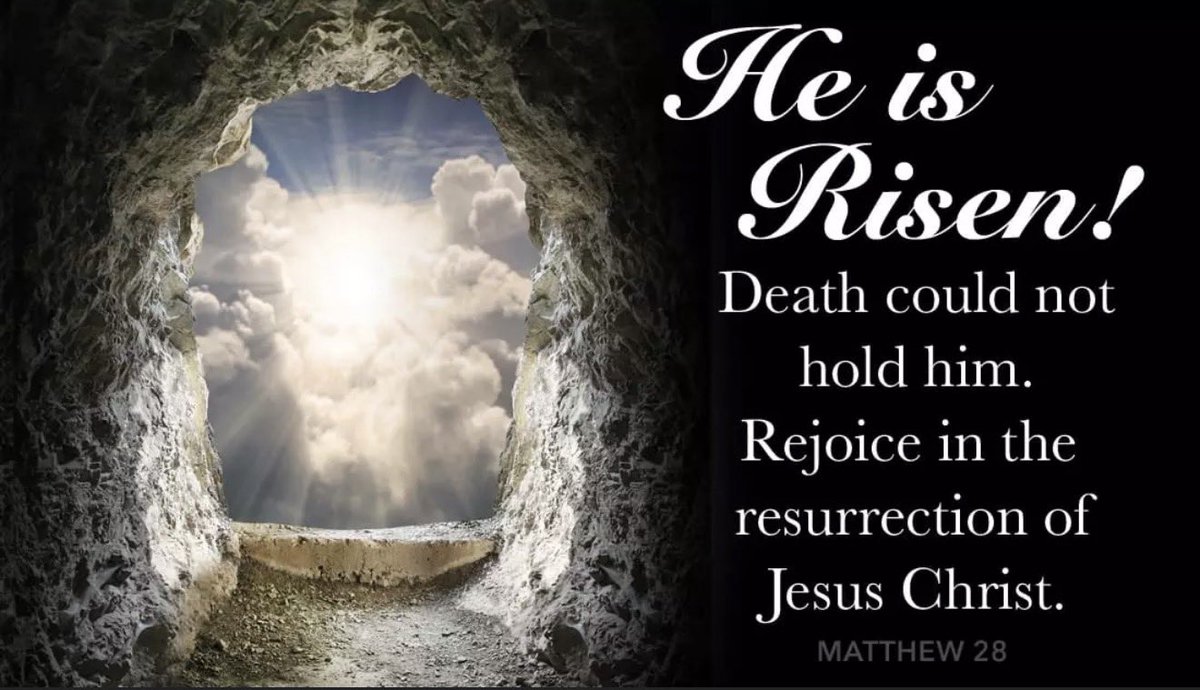 Ohio Born - Speed Freak tweet media