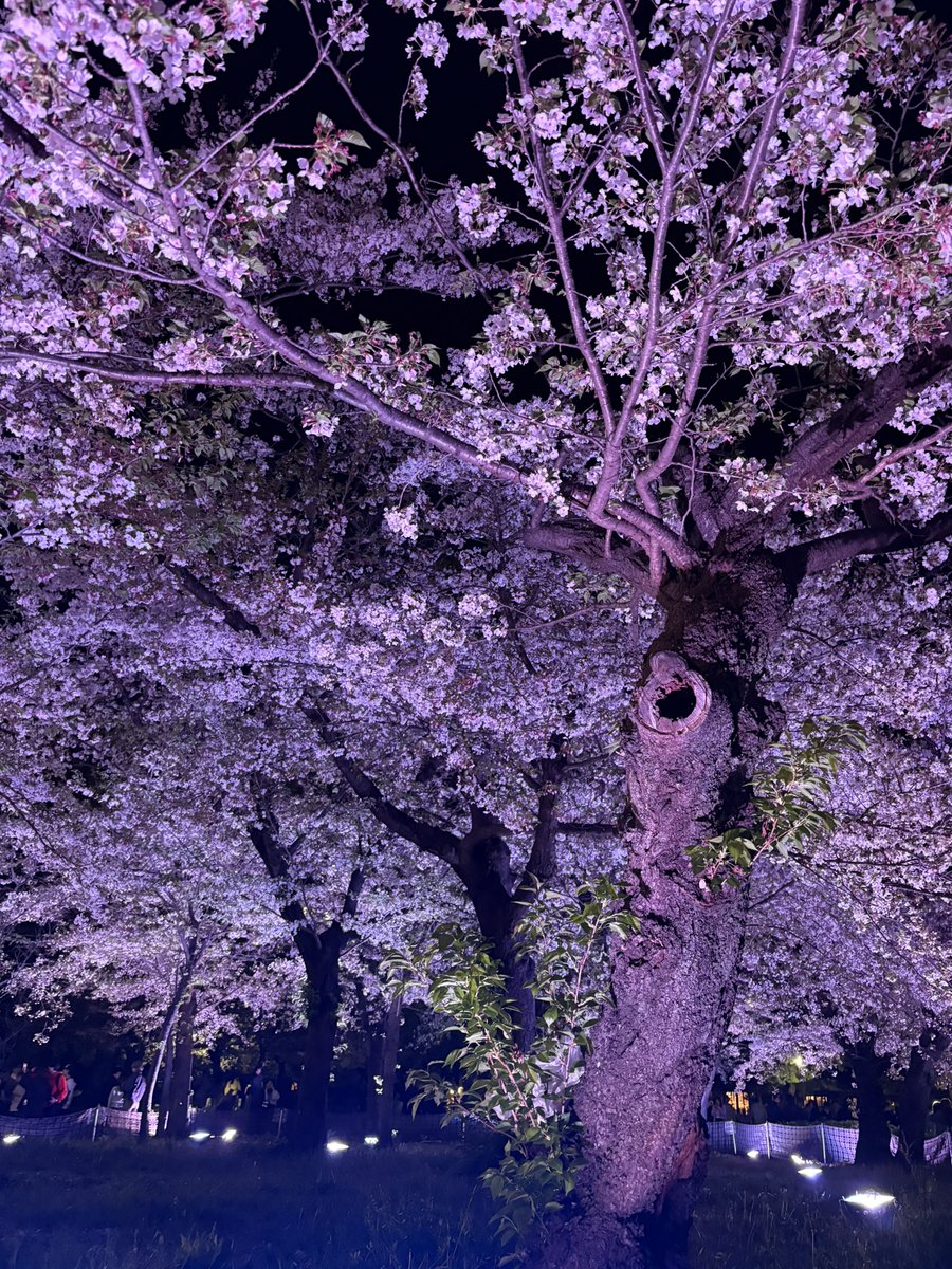 なに？W tweet media