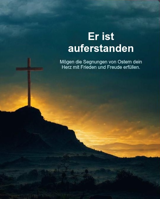 swisstrader tweet media