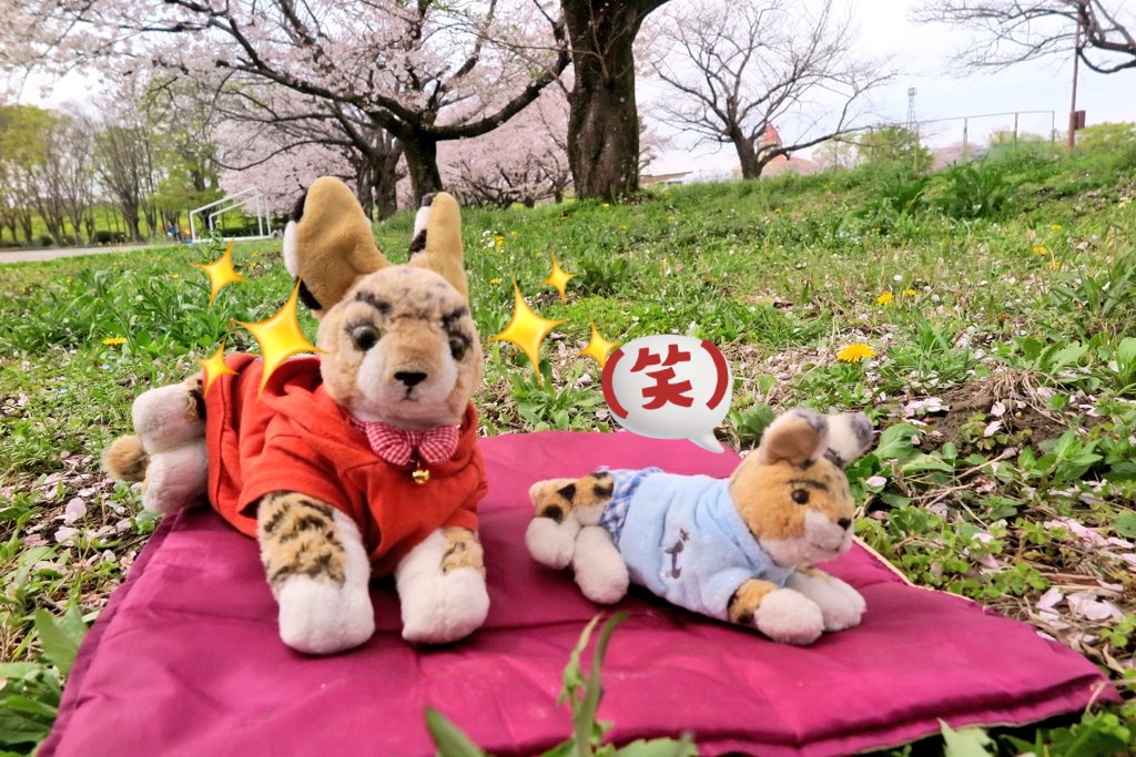 あさーバル（中の人） tweet media