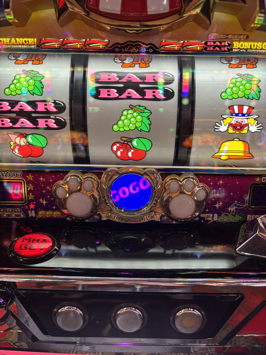 せ い ら tweet media