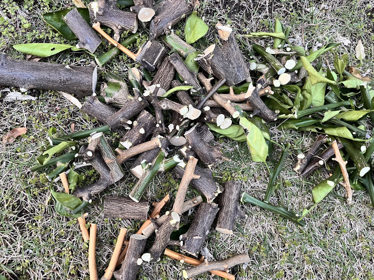 ゆな🍊いもむし tweet media