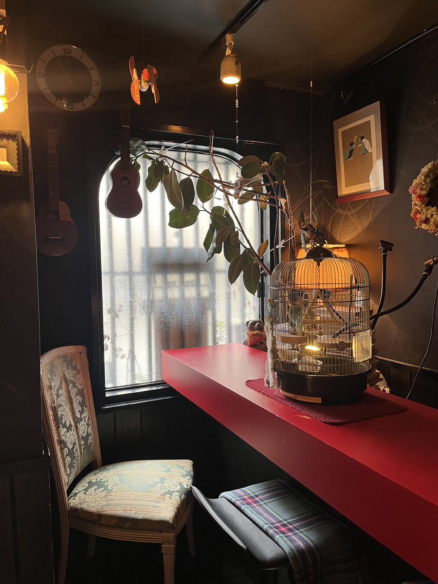 秋桜子 asako tweet media