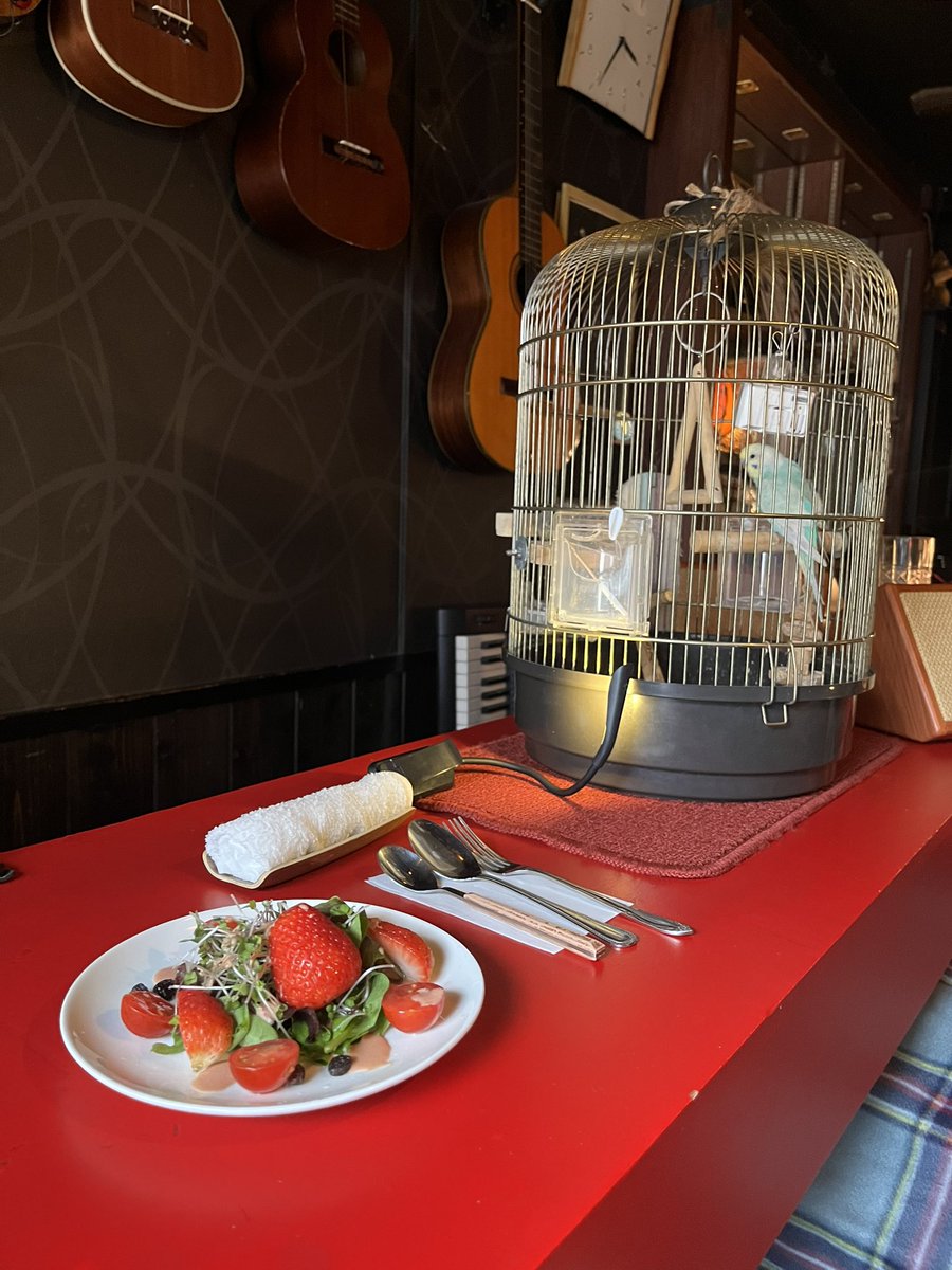 秋桜子 asako tweet media