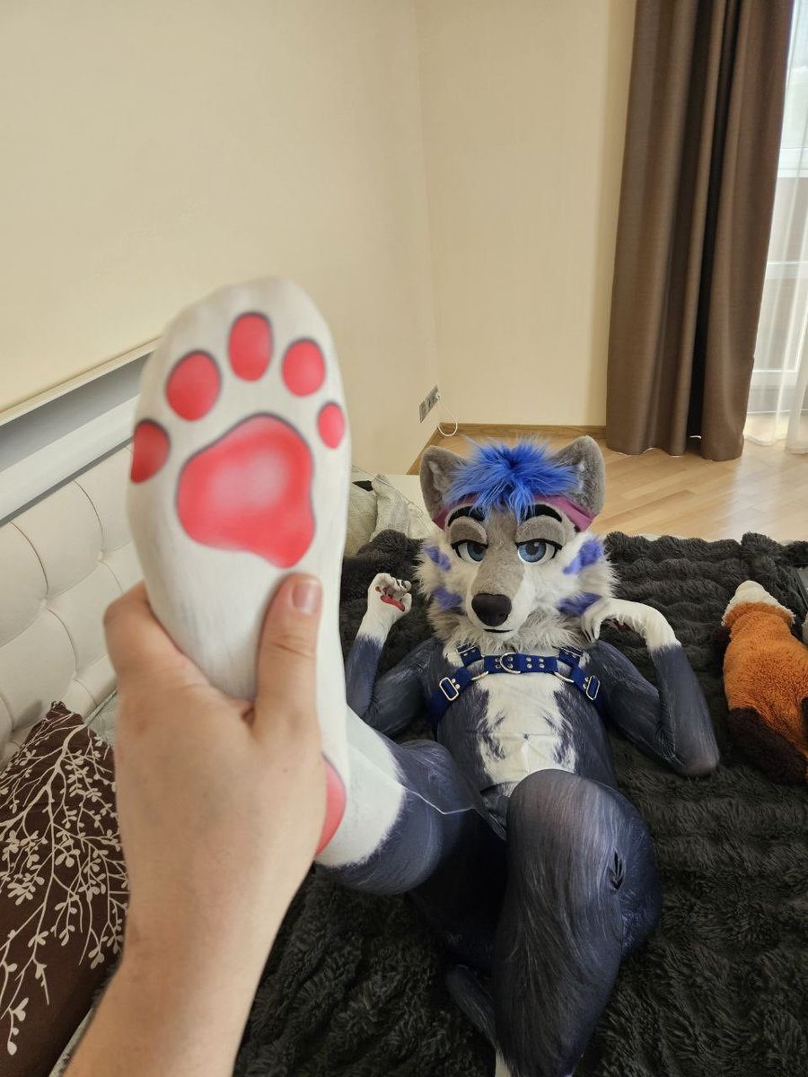 Wlfprisad's tweet photo. Paw paw paw :3

📸 @0spots https://t.co/Ic9e5R7qHa